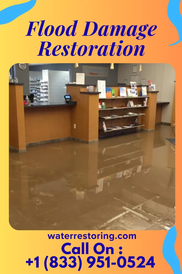 Flood Damage Restoration in Colesville, MD