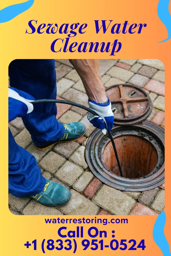 Sewage Water Cleanup in Colesville, MD